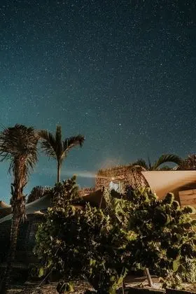 Nomade Holbox