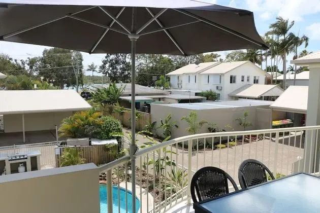 Noosa River Palms