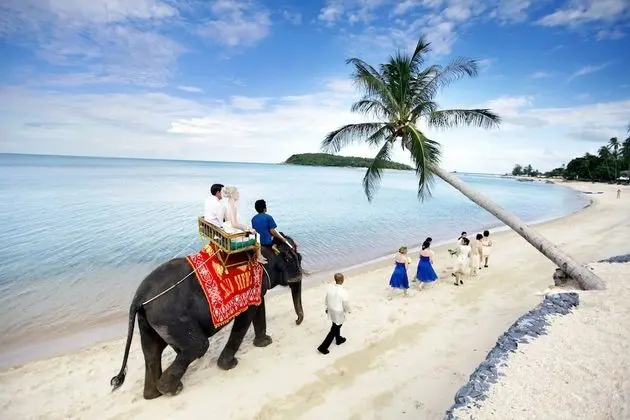 Nora Buri Resort & Spa - Plaj