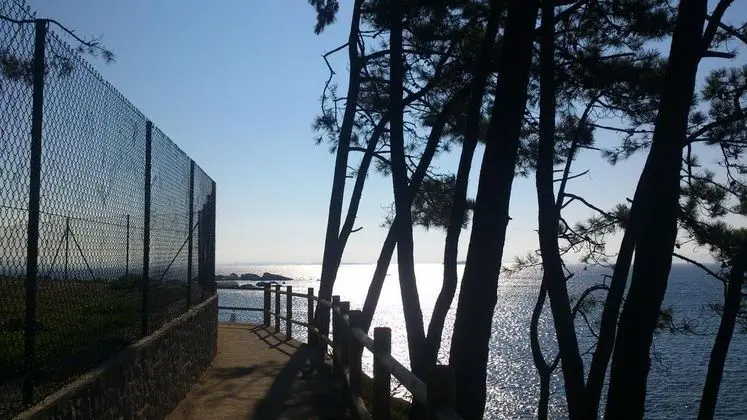 Hotel Norat Palmeira Playa