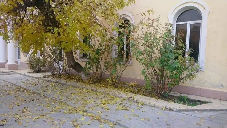 Nordstrom Chekhov - Öne Çıkan Resim