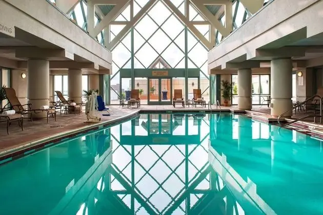 Norfolk Waterside Marriott - Havuz
