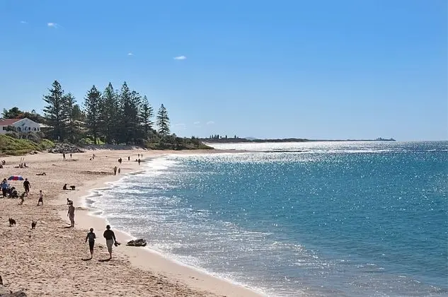Norfolks on Moffat Beach - Plaj