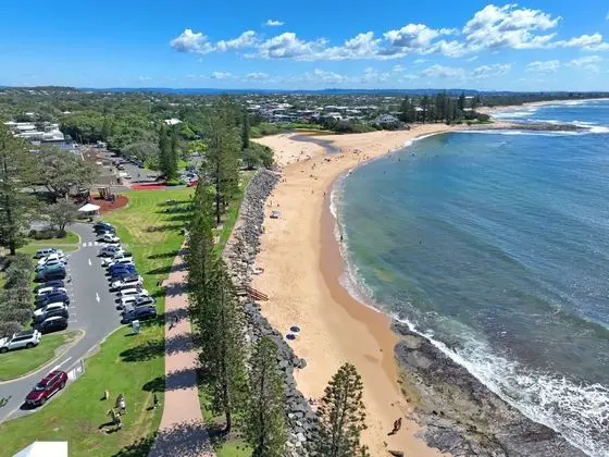 Norfolks on Moffat Beach - Plaj