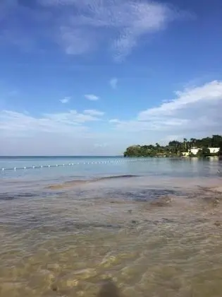 The North Coast Relaxation - Plaj