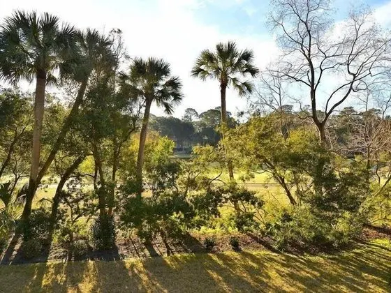 North Sea Pines 119 - Dış Mekan