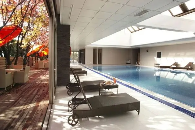 Novotel Ambassador Seoul Gangnam - Havuz