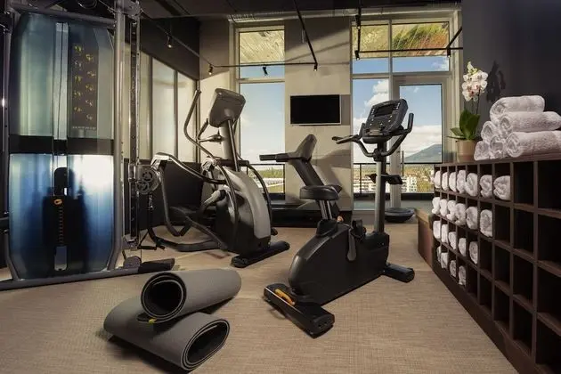 Novotel Annemasse Centre - Porte de Genève - Fitness