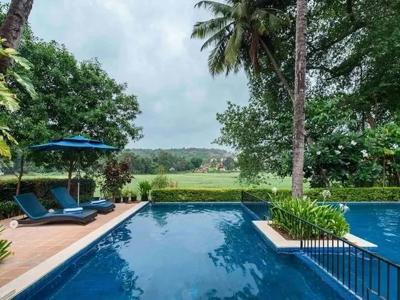 Novotel Goa Resort & Spa Hotel - Havuz