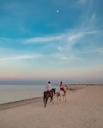 Novotel Marsa Alam Beach Resort - Plaj