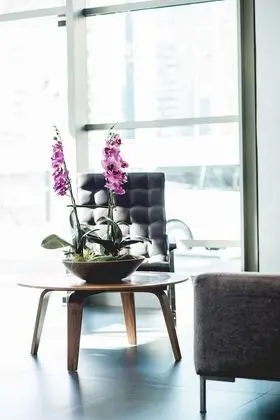 Novotel Santiago Las Condes - Lobi