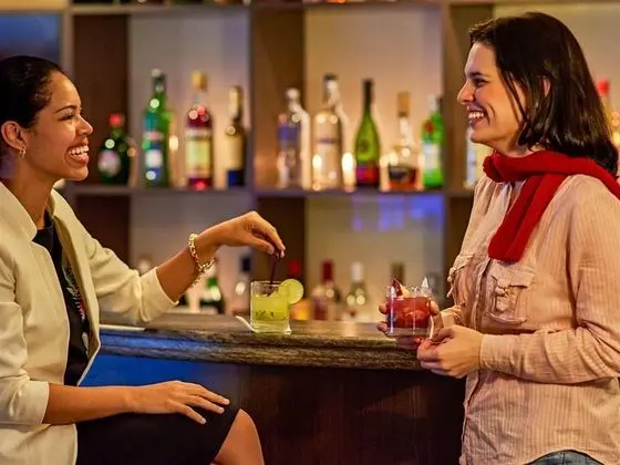 Novotel Sao Jose Dos Campos - Bar