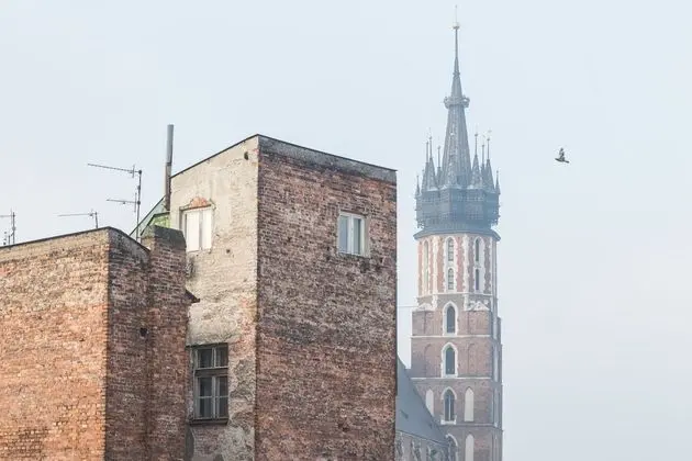 Novum House Tomasza
