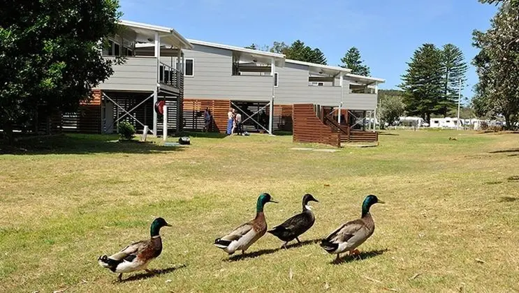 NRMA Sydney Lakeside Holiday Park - Dış Mekan