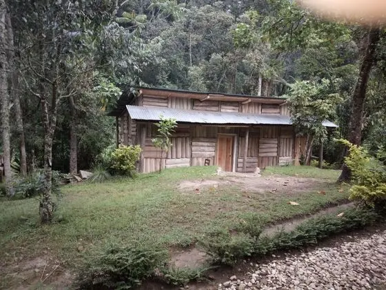 Nshongi Forest Camp - Dış Mekan
