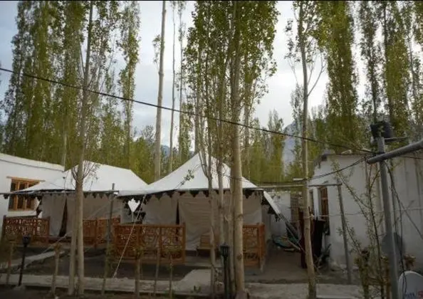 Nubra Ethnic Camp - Lobi