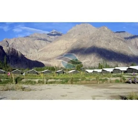 Nubra Summer Camp