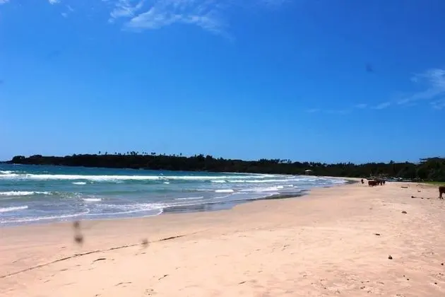 Nuga Eden Tangalle - Plaj