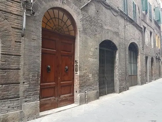 Numero 12 Fior di Narciso 110