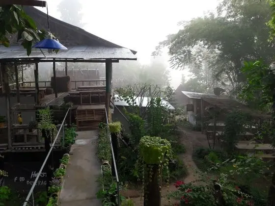 Nusha Homestay