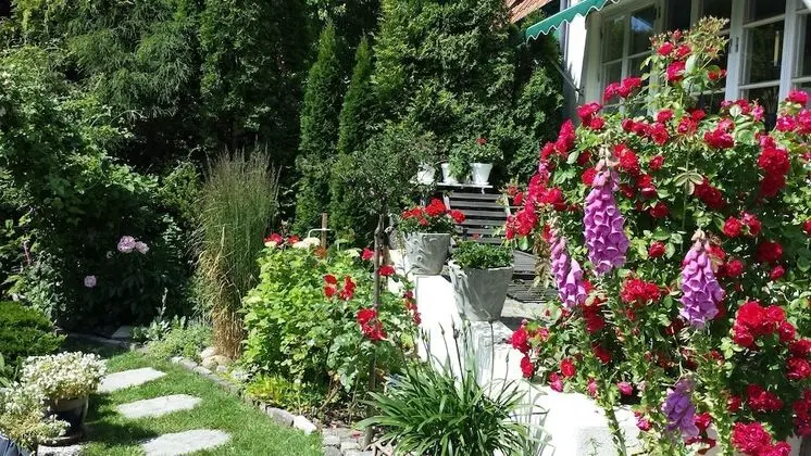 Nya Pallas Hotel - Öne Çıkan Resim