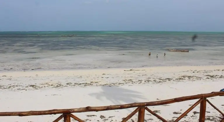 Nyamkwi White Sands - Plaj