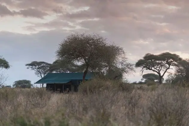 Nyikani Camp - Tarangire