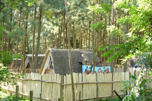 Nyungu Yamawe Forest Park - 1