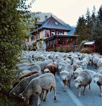 Ô Caprice du Guiers