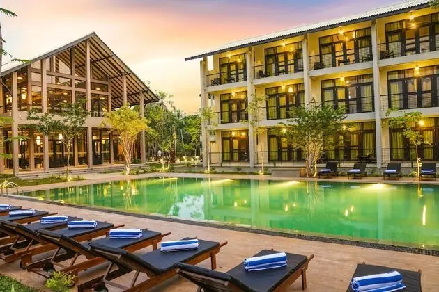 Oak Ray Wild Yala