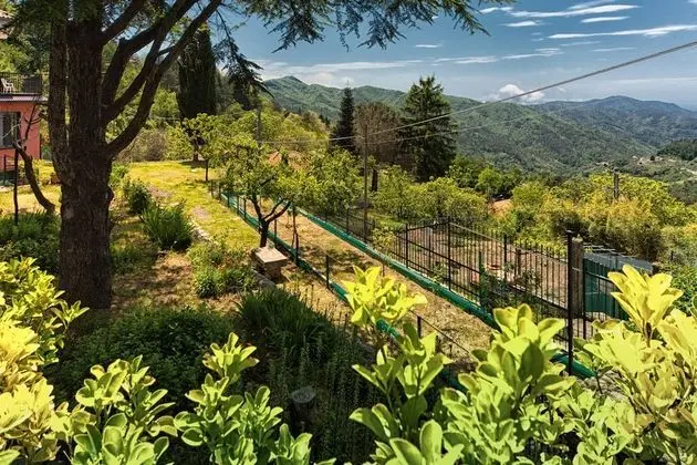 Oasi Verde