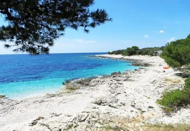 Oasis - 50 m From the sea - A2