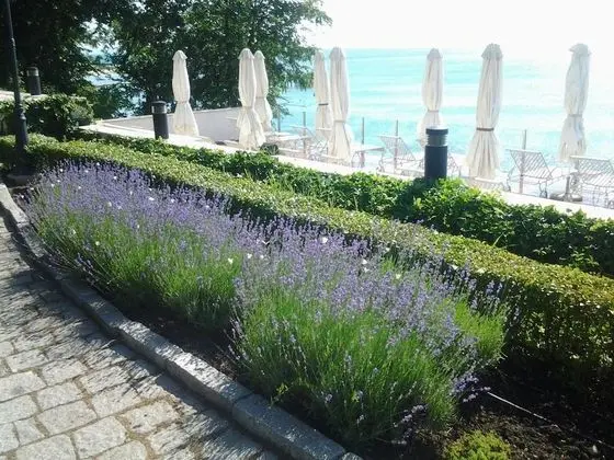 Oasis Boutique Hotel - Dış Mekan