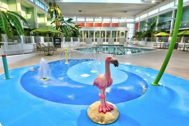 Oasis Hotel & Conv. Center, an Ascend Hotel Collec - Havuz
