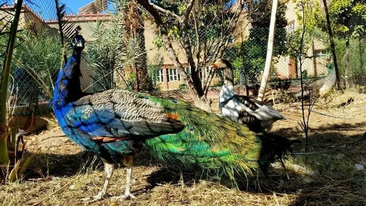 Oasis Dar Ouanou - Dış Mekan