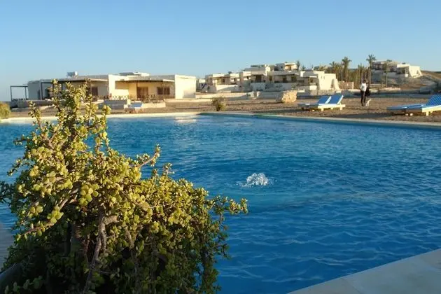 The Oasis Dive Resort - Havuz