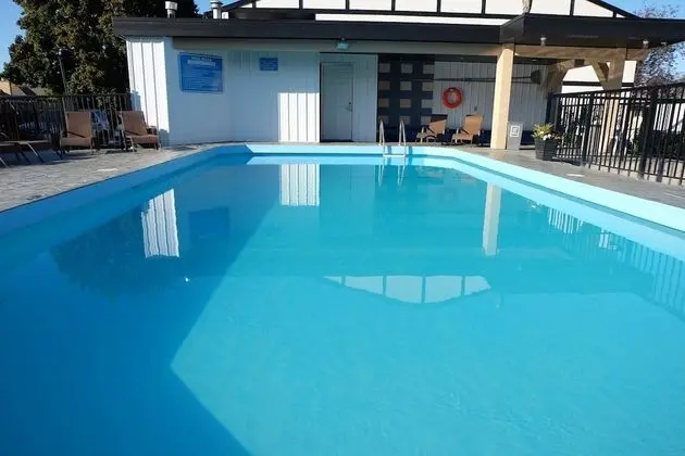 Oasis Inn - Havuz