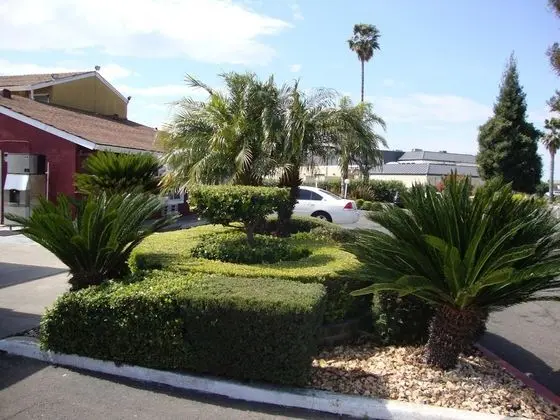 Oasis Inn Sacramento - Elk Grove - Dış Mekan