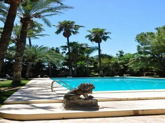 Resort Oasis