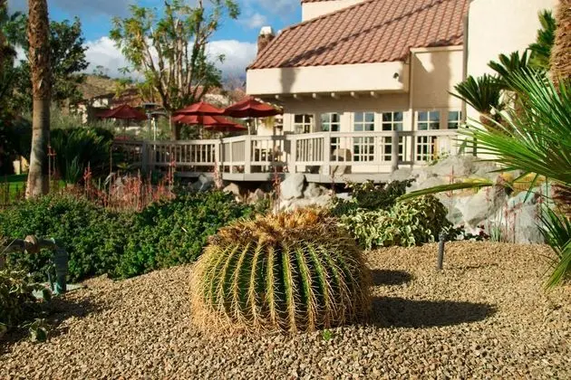 The Oasis Resort