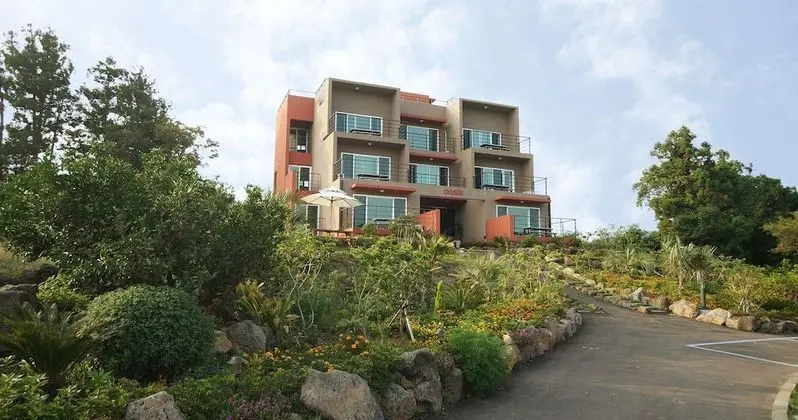 Oasis Pension