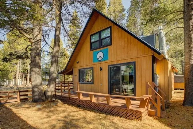 Oasis in the Pines