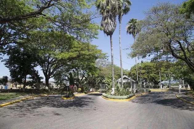 The Oasis