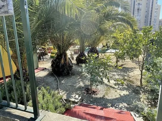 Oasis in Split Near the Center