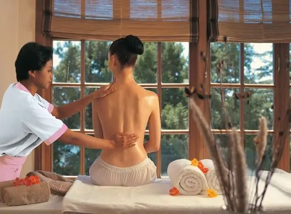 The Oberoi Cecil, Shimla - Spa