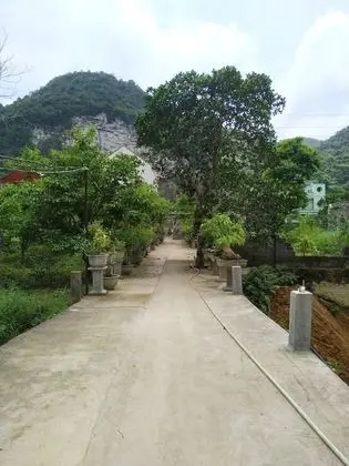 Occult Lan Ha Farmstay Mt - Dış Mekan