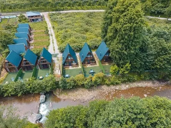 Oce Bungalow - Genel