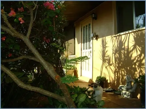 Ocean Breeze Hideaway - Dış Mekan