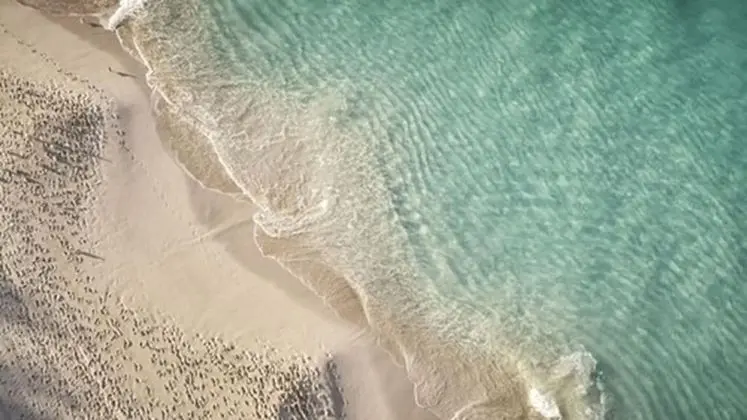 The Ocean Club, A Four Seasons Resort, Bahamas - Plaj