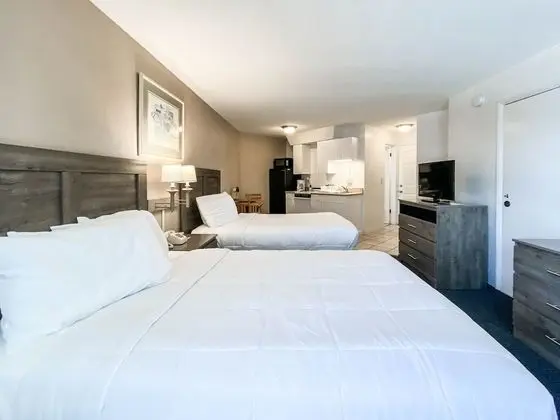 Ocean Court Beachfront Hotel - Oda